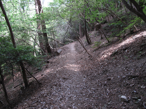 20140602hike (346)